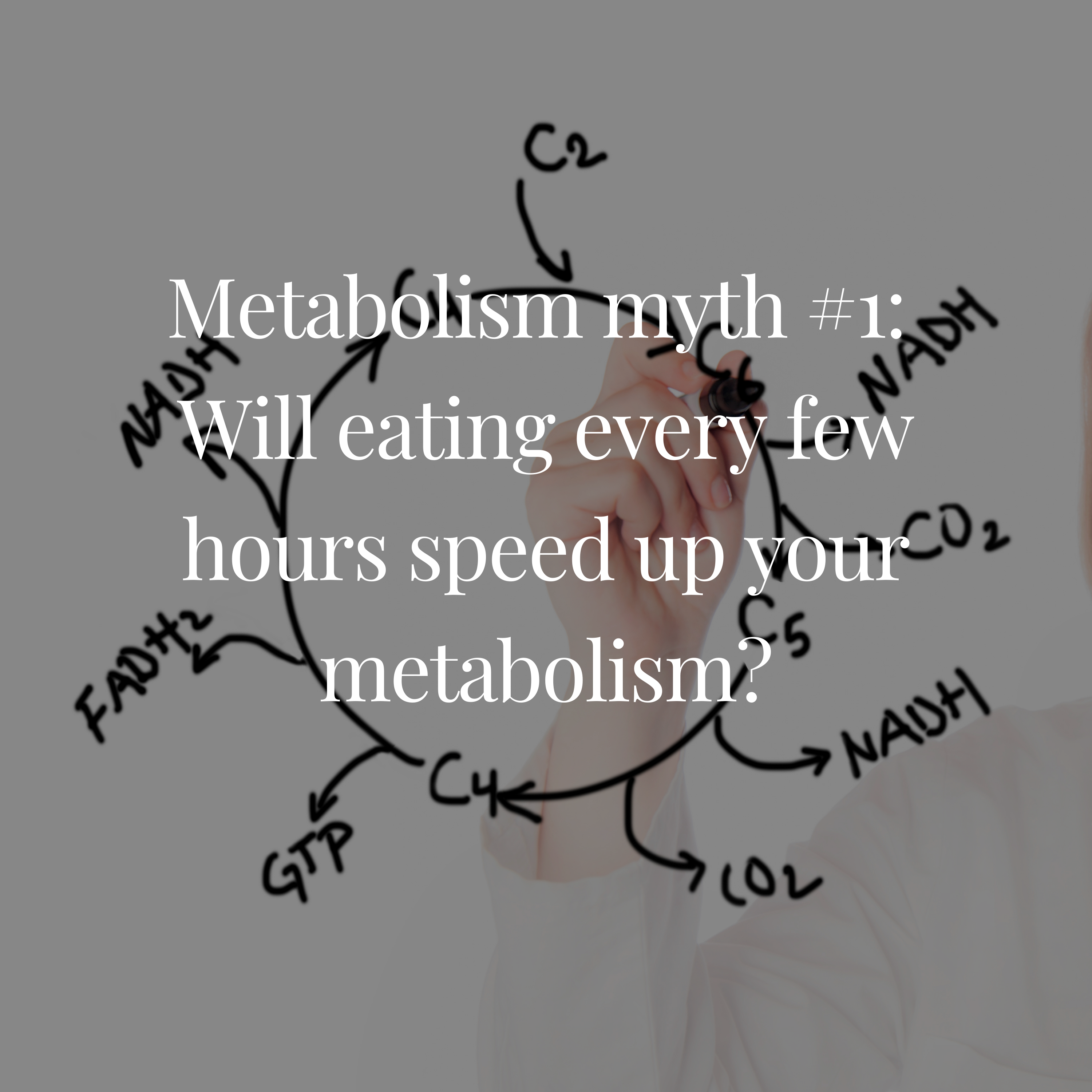Metabolism myth #1:  Will eating every few hours speed up your metabolism?